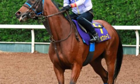 【宝塚記念】スルーセブンシーズ　父娘制覇へ　池添がドリームジャーニーに続いて娘も導く