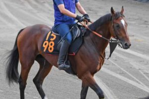 【ラジオNIKKEI賞】レーベンスティール　高素質　みちのく制して秋の飛躍へ　「伸びしろがいっぱいある」