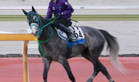 【CBC賞】マッドクール　桶狭間から秋天下獲る　自信を深めて挑む2度目の重賞へ　初タイトル奪取を狙う