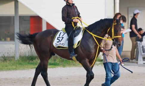 【七夕賞】フェーングロッテン　思い出の福島で今度こそ　宮本師「前行かなくても競馬できる」