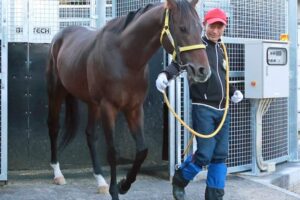 【七夕賞】Vデータ完全クリアはフェーングロッテン　重賞初Vの地で惜敗続きに終止符打つ