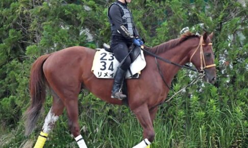 【プロキオンS】海外帰りのリメイク　成長見せる　千四は全5勝中4勝　2つ目のタイトル奪取へ