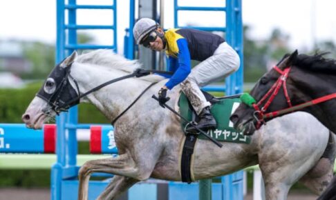 【函館記念登録馬】白毛馬のハヤヤッコなど21頭