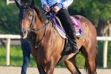 【中京記念】ダノンスコーピオン　3歳マイル王の意地見せる　復活へ反撃態勢整う