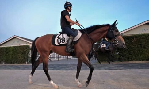 【中京記念】シンタケ激走再び　前走Vはフロックじゃない　破竹の勢いで夏マイル王まで突き進む