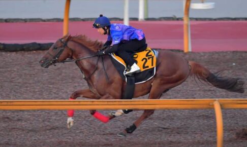 【中京記念】ウイングレイテスト　栗東に滞在で効果急上昇　松岡も声弾ませ「かなりいい」