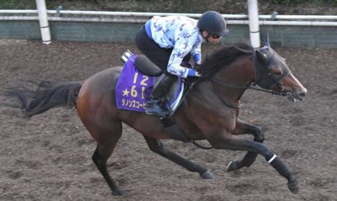 【中京記念】ダノンスコーピオン復権走　はり治療で右トモ緩さ改善「良くなっているのは確実」