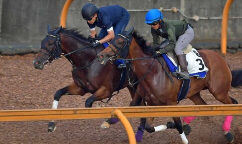 【中京記念】ルージュスティリア　2戦2勝の得意舞台で反撃　藤原師「今回はコースで気分良く」
