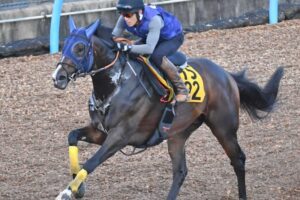 【中京記念】ベジャール　まるで重戦車　500キロ超の馬体弾ませ美浦Wをパワフル走