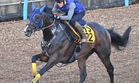 【中京記念】ベジャール　まるで重戦車　500キロ超の馬体弾ませ美浦Wをパワフル走