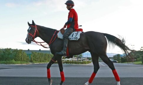 【アイビスSD】ジャングロ　1年以上休養から復活Vだ！　短距離適性も手応えも十分　「スピードはある」