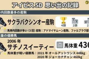【アイビスSD】馬券圏内トップはサクラバクシンオー産駒の8回　千直重賞の「記録」を振り返る
