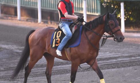 【レパードS】パクスオトマニカ　新境地切り開く　ダービー13着から初ダート「適性あれば選択肢広がる」