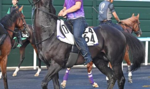 【エルムS】ロッシュローブ　雨なら爆走「渋ってほしい」　コンディション万全で陣営も文句なし