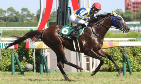 【関屋記念登録馬】セルバーグ、ディヴィーナなど19頭