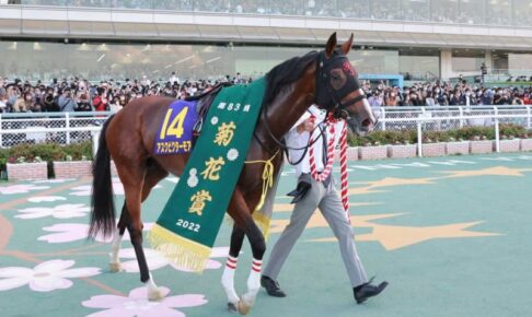 22年菊花賞馬アスクビクターモア死す　熱中症による多臓器不全