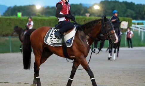 【札幌記念】プログノーシス　秋の飛躍へ強敵撃破だ　豪華メンバーの中、唯一全項目クリア