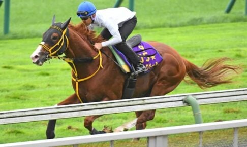 【札幌記念】ジャックドール　一流の動き　25年ぶり4頭目連覇へ指揮官「このG2を獲りに行く」