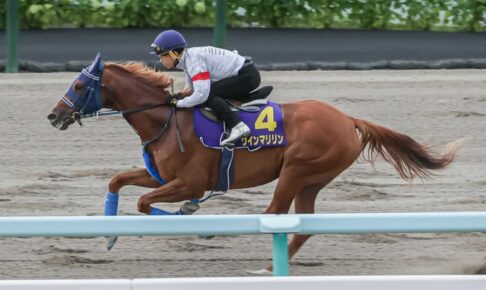 【札幌記念】ウインマリリン合格点 コンビ再結成の松岡「休み明けとしてはいい」