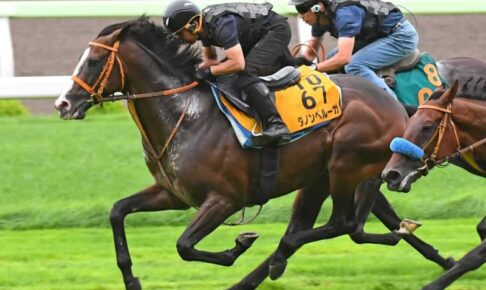 【札幌記念】ダノンベルーガ　3頭併せで整った 堀師満足げ「さすがオープン馬」