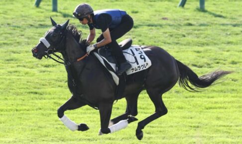 【キーンランドC】ナムラクレア　仕上げは『さらり』　長谷川師「前哨戦をいい感じで迎えられます」