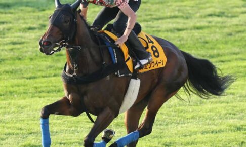 【キーンランドC】キミワクイーン　夏の短距離女王へ余力残し上々の動き　「具合は悪くないけど…」