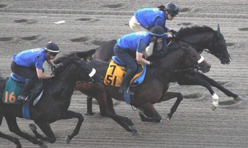 【新潟記念】サリエラ　3頭併せ躍動に文句なし　直接新潟入りで調整　国枝師「ここをステップに」