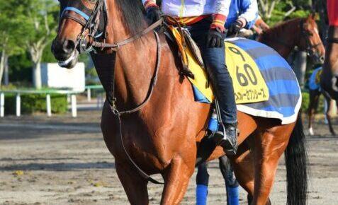 1カ月後に迫る凱旋門賞　日本馬スルーセブンシーズの勝機は？