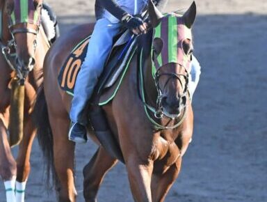 【紫苑S】グランベルナデット“女王候補”再名乗りだ　腸炎で樫回避も順調に回復