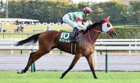 【ローズS登録馬】ラヴェルなど19頭