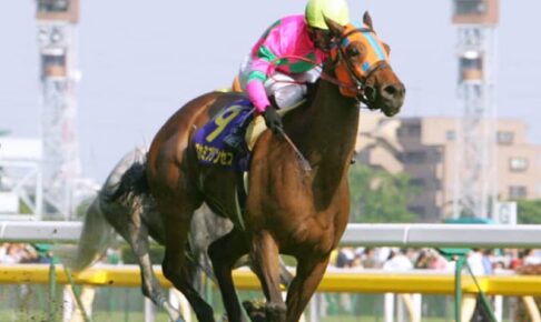 06年の2冠牝馬カワカミプリンセスが天国へ　西浦勝一元調教師「夢を見させてくれた馬でした」