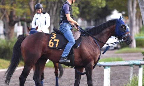 【セントライト記念】キングズレイン金星ゲットだ　同厩舎ライバル撃破で菊の主役へ