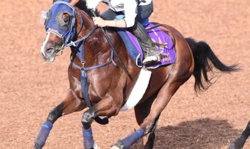 【セントライト記念】ソールオリエンス想像以上　2冠奪取へ向け横山武「成長曲線がきれい」