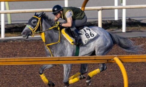 【オールカマー】マリアエレーナ鋭伸　吉田厩舎恒例の火曜追い　仕上がりに胸張る