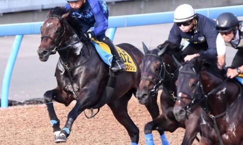 【オールカマー】ノースブリッジ力強く伸びた　岩田康「体も動きもいい」　3度目G1挑戦へ勢いを