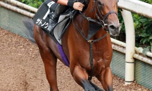 【神戸新聞杯】サトノグランツ　栗東坂路で自己最速　「十分に仕上がった」父子制覇の先にある栄光へ