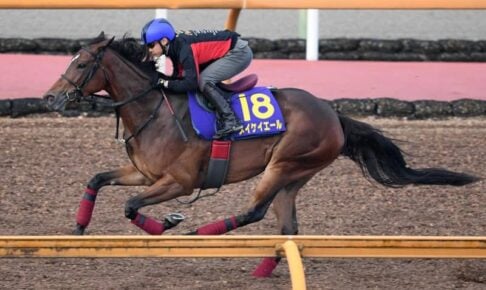 【スプリンターズS】メイケイエール　新兵器で加速　新ハミに武英師も手応え「時計の出方は今までで一番」