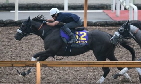【スプリンターズS】ナムラクレア　鋭くひと伸び　浜中「いい状態で向かえそう」