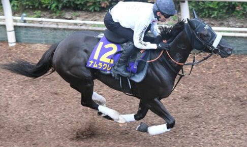 【スプリンターズS】ナムラクレア　精神面成長で待望のG1初制覇へ　長谷川師「芯の入った走り方でした」