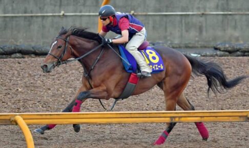【スプリンターズS】メイケイエール　攻めの姿勢でG1タイトルへ　武英師「しっかり負荷かけた」