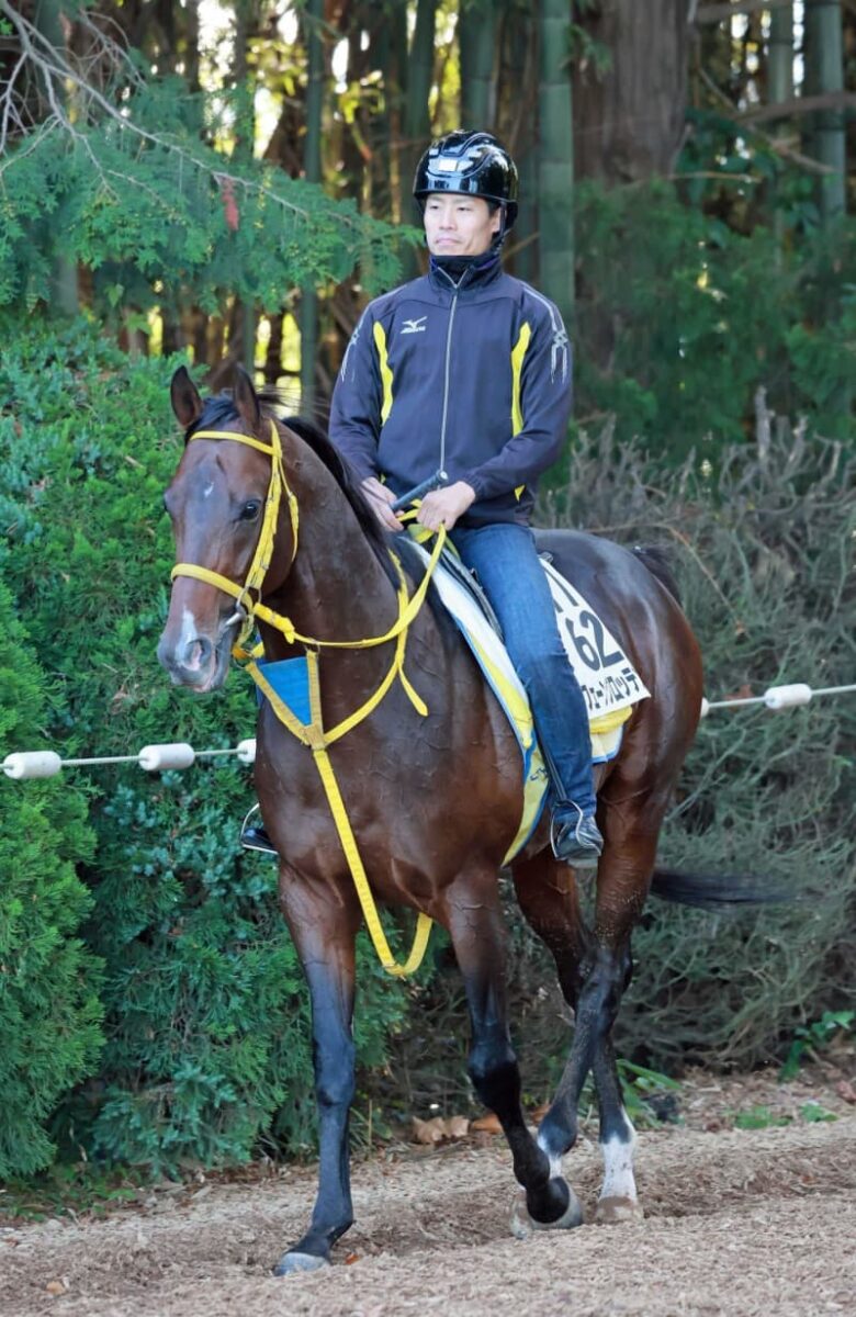 【毎日王冠】フェーングロッテン　逆襲の秋始動戦　涼しくなって気配上昇