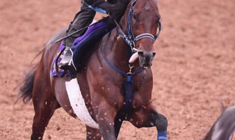 【毎日王冠】シュネルマイスター　鋭伸文句なし　一瞬で1馬身突き放す　2度目のG1制覇へ