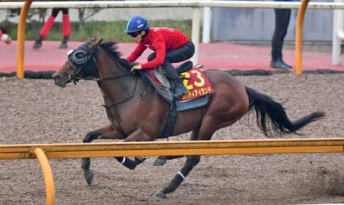 【秋華賞】リバティアイランド、牝馬3冠へ万全　陣営「雰囲気、テンション、全てがいいと思う」