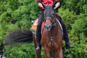 【秋華賞】リバティアイランド　3冠達成をデータも後押し　貫禄の全項目クリア