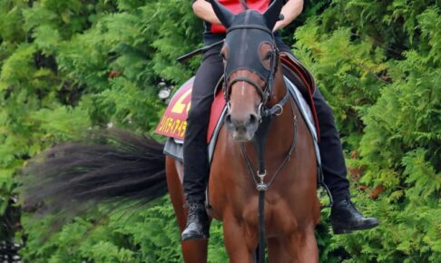 【秋華賞】リバティアイランド　3冠達成をデータも後押し　貫禄の全項目クリア