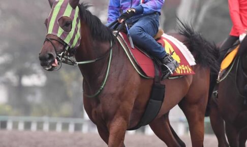 【秋華賞】グランベルナデット大逆襲　美浦の新坂路使用可能で後押し　陣営「ハマってきました」