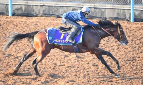 【菊花賞】タスティエーラ、さらなる進化走　ダービー馬の貫禄！切れ味鋭く一瞬で先行僚馬突き放す