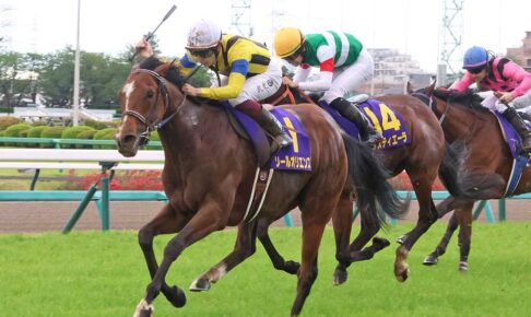 【菊花賞／全頭診断】ソールオリエンスに「0.0.1.24」の危険信号　軸候補は「4.0.1.0」該当の非GI馬