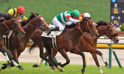 【菊花賞／データ攻略】「ソールオリエンスとタスティエーラの二択なら……」　あのゴルシも該当の“10年中5勝”条件