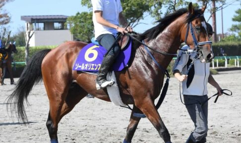 【菊花賞】ソールオリエンス　世代頂上決戦　前走2着問題なし　「イメージ通り」　2冠制覇を狙う